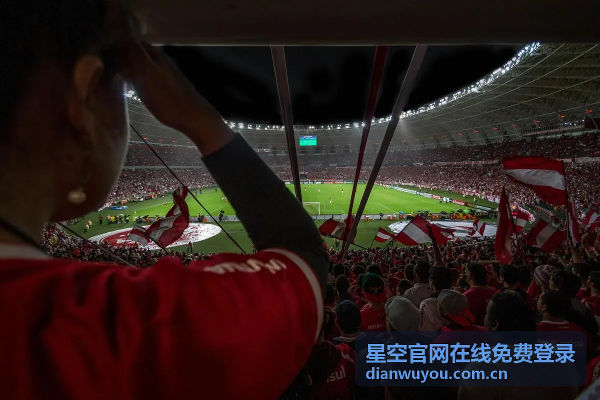 星空官网在线免费登录相关服务封面图