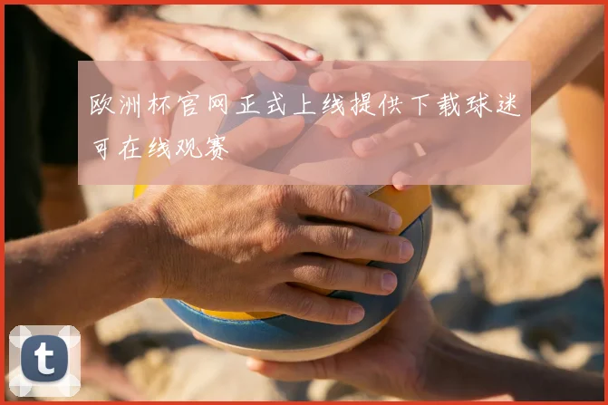 欧洲杯官网正式上线提供下载球迷可在线观赛
